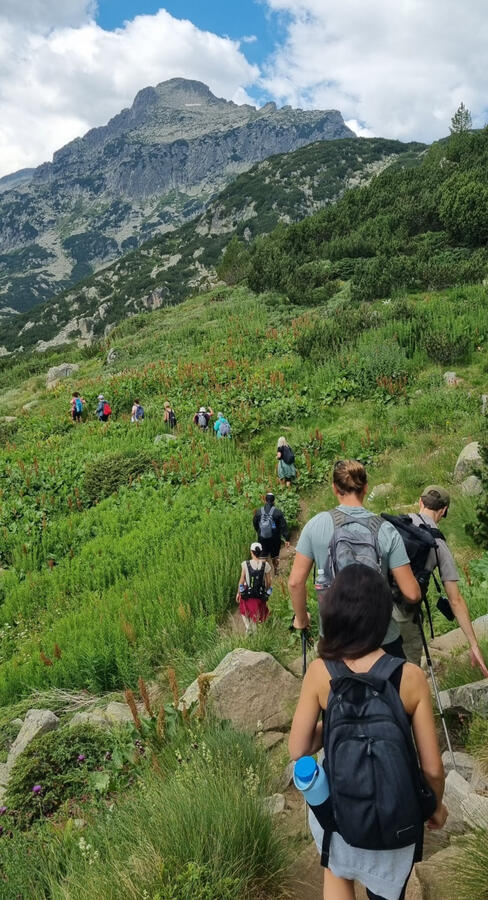 Hiking Hiking